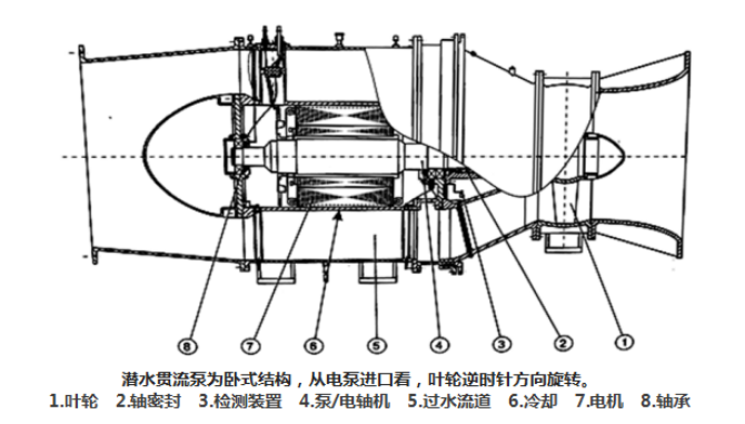 QGL型潜水贯流泵(图2)